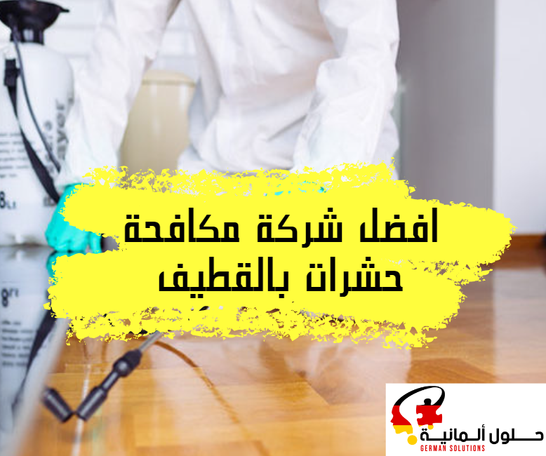 أفضل شركة مكافحة حشرات بالقطيف أفضل شركة مكافحة حشرات بالقطيف  title=